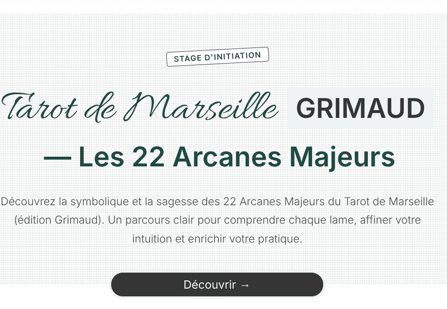 Aperçu du projet Delgado Psycho-Énergéticien